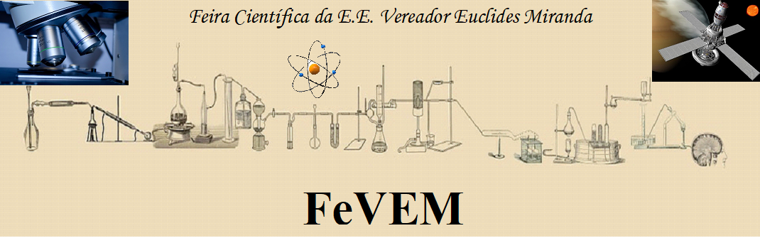 fevem.site.com.br